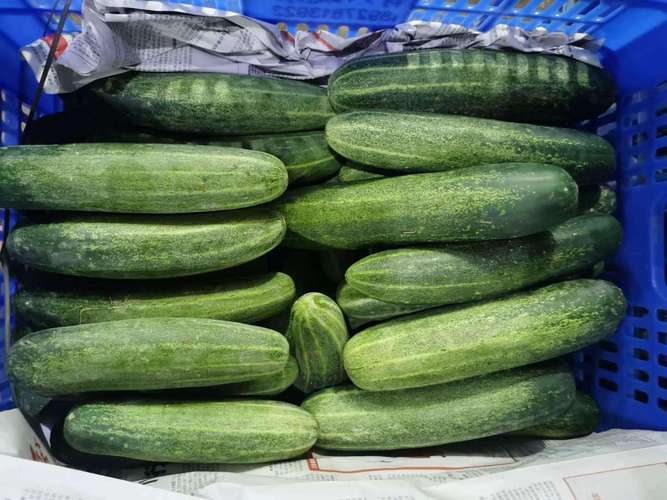 长安乌沙工厂蔬菜配送 东莞市联旺膳食管理服务产品数量